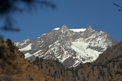 IMG_3506a